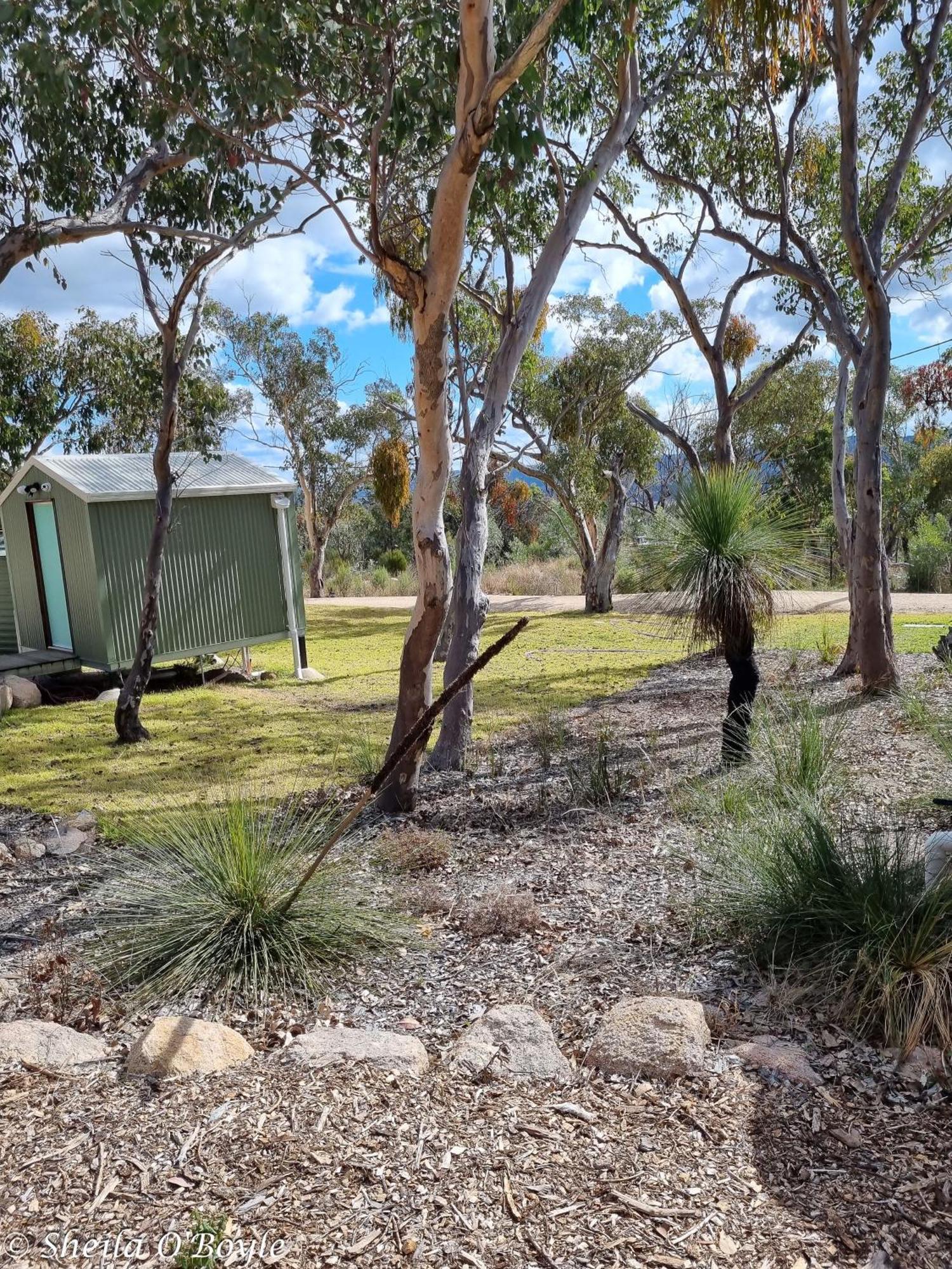 Glen Lough Cabins Glen Aplin Εξωτερικό φωτογραφία