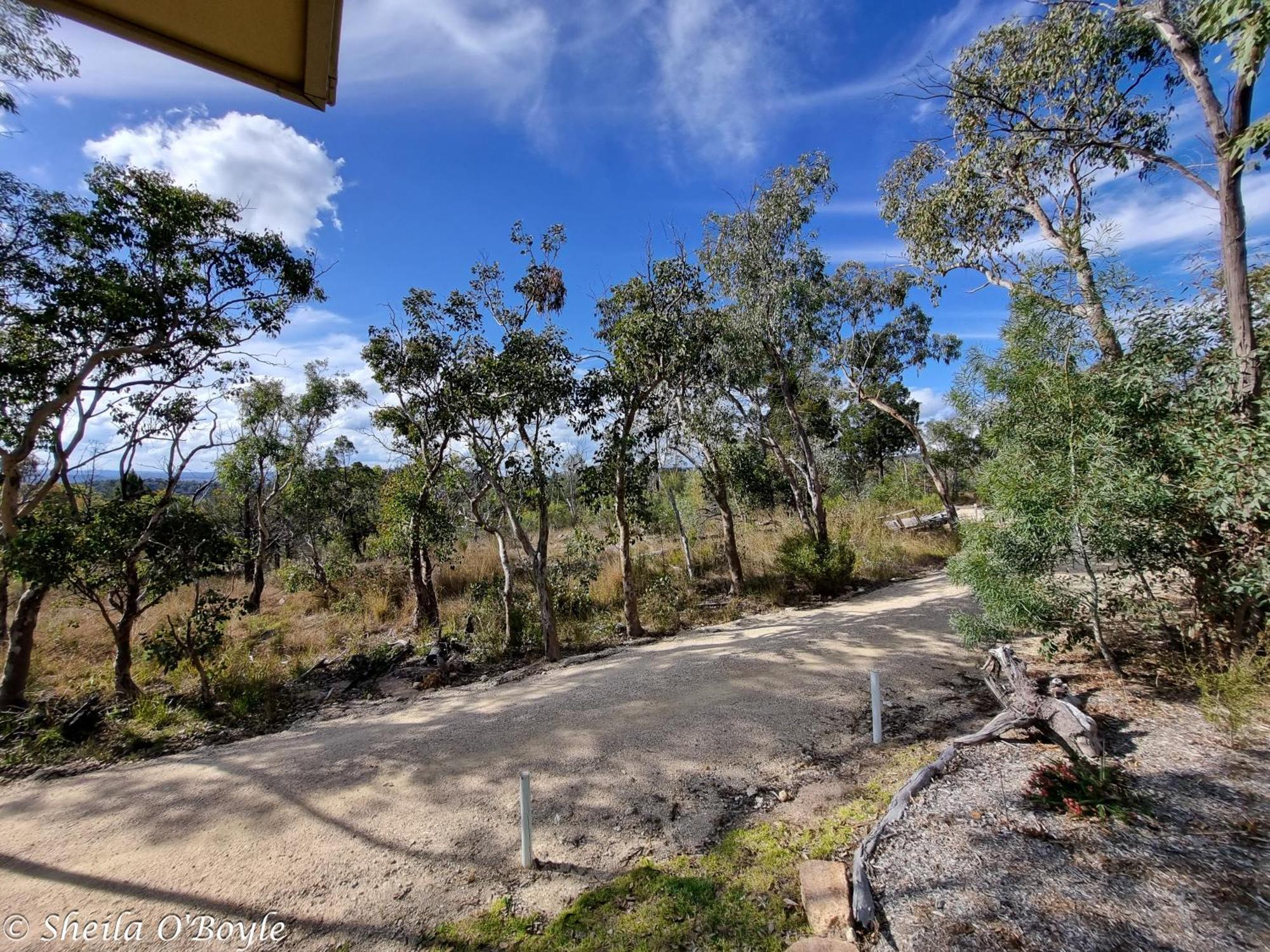 Glen Lough Cabins Glen Aplin Εξωτερικό φωτογραφία